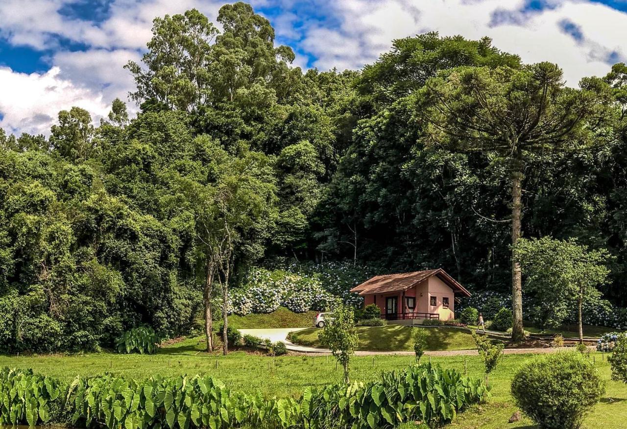 Pousada Pinhal Alto Nova Petropolis Exterior photo